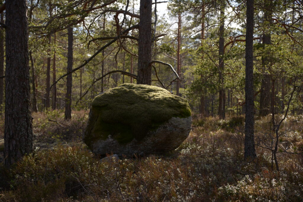 tresticklan national park