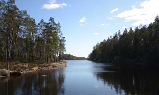 tresticklan national park