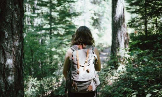 hiker, backpacker, hiking